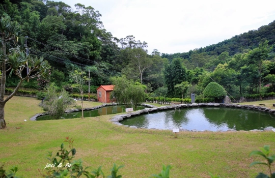 九芎湖農業體驗