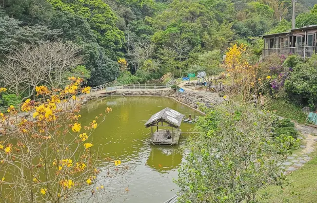 九芎湖餐廳推薦
