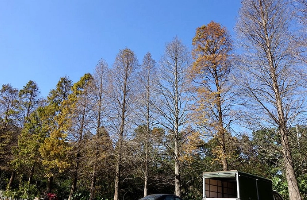 小火車旅遊 小火車旅遊