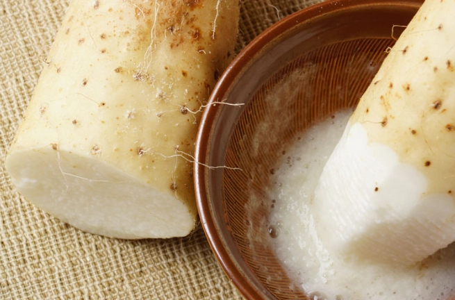 日本山藥料理 日本山藥料理