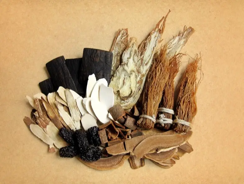 十全大補湯禁忌