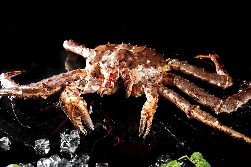 帝王蟹蒸煮時間