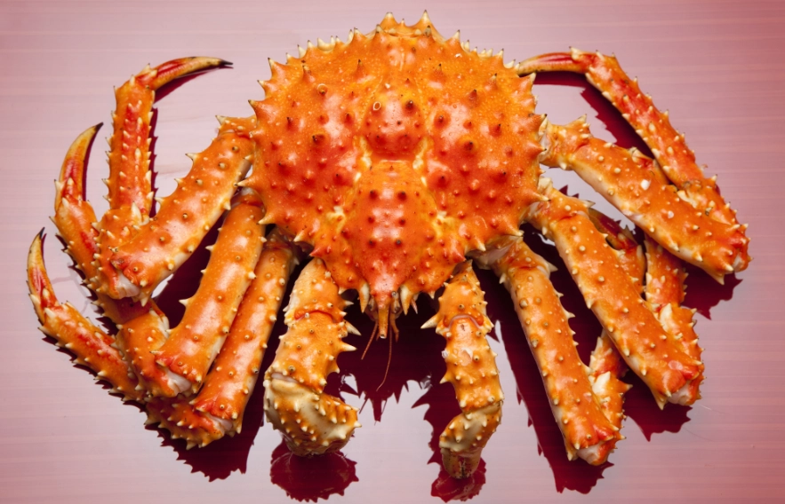 帝王蟹料理食譜