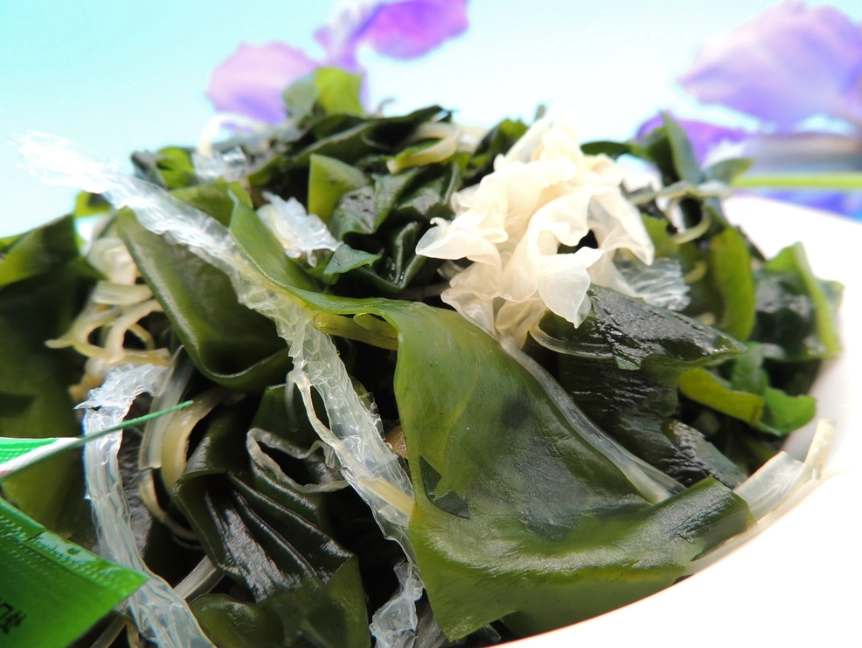 海藻美食推薦 海藻美食推薦