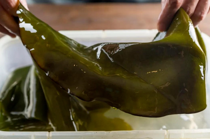 海帶芽煮湯要泡嗎