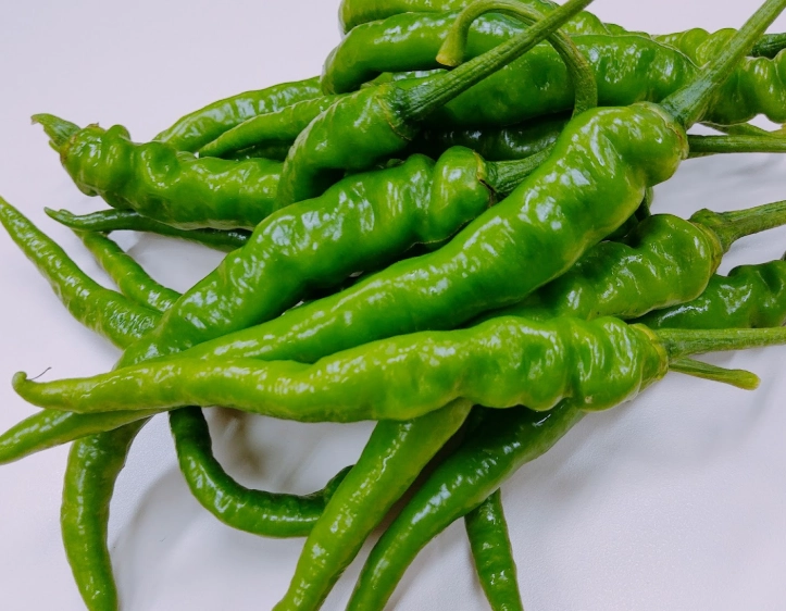 糯米椒 食譜