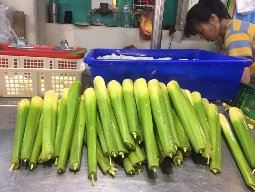 筊白筍保存