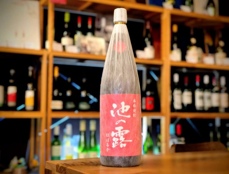紅露酒哪裡買 紅露酒哪裡買