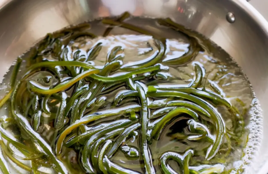 海帶食譜 海帶食譜