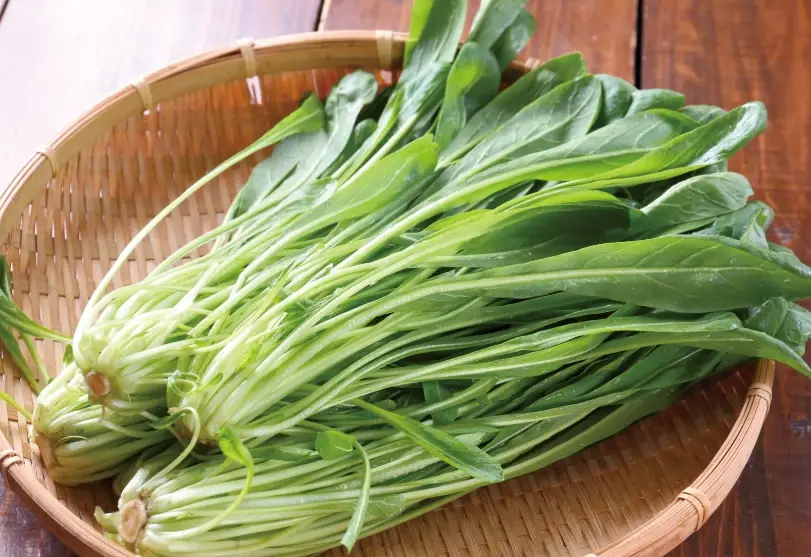 水菜食譜 水菜食譜