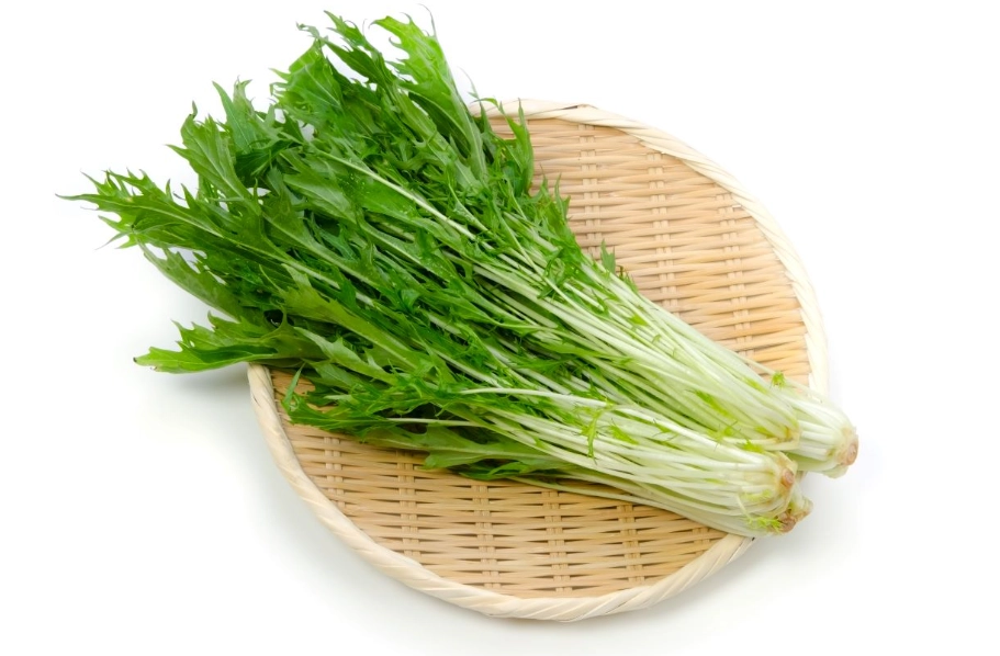水菜怎麼吃 水菜怎麼吃