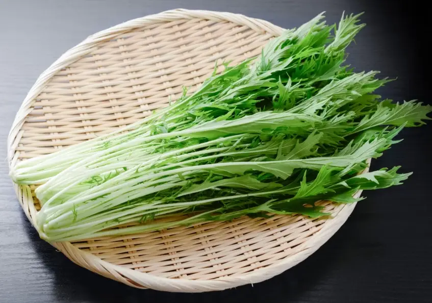 水菜食譜 水菜食譜