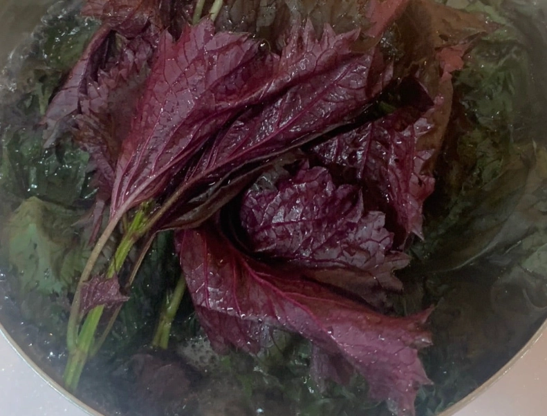 紫蘇食譜 紫蘇食譜