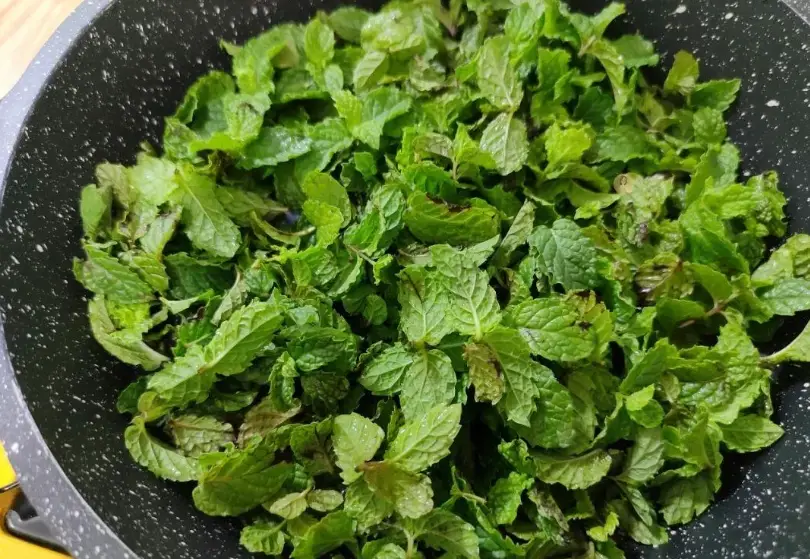 薄荷茶做法 薄荷茶做法