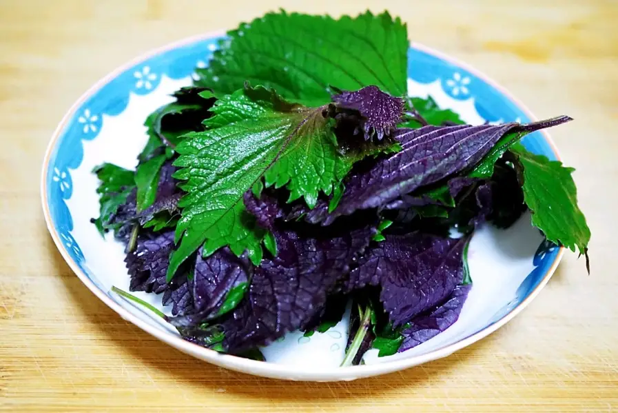 紫蘇料理