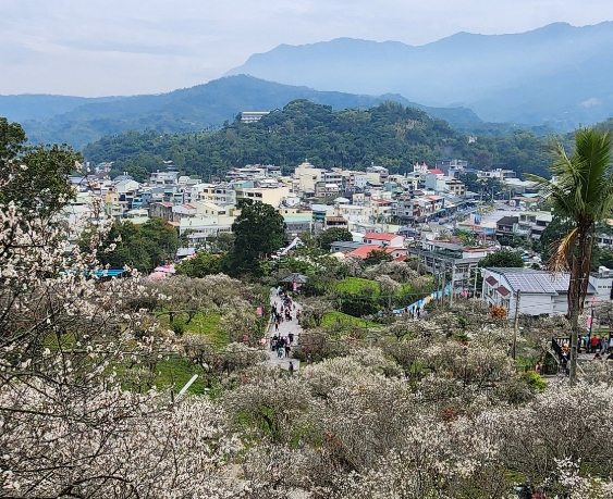 梅山一日遊景點