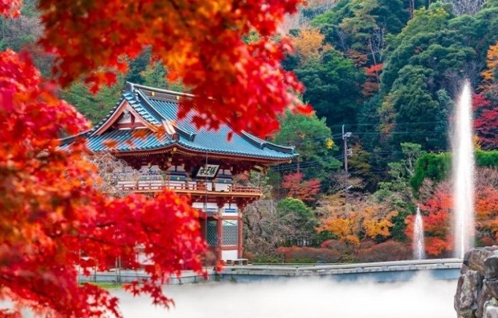 京都大阪奈良旅遊