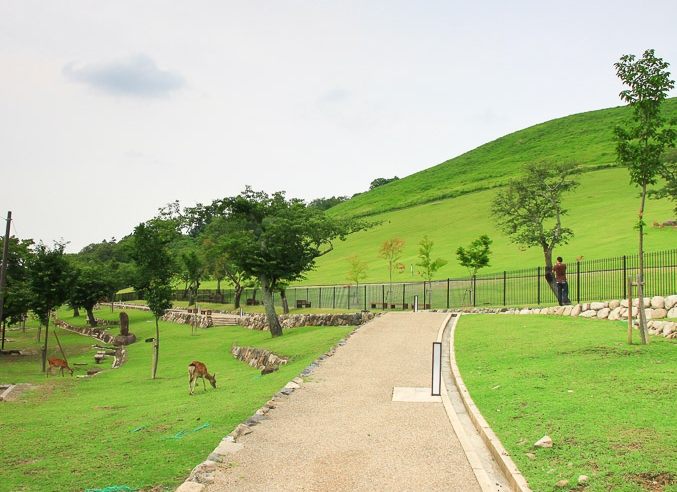 京都大阪奈良旅遊