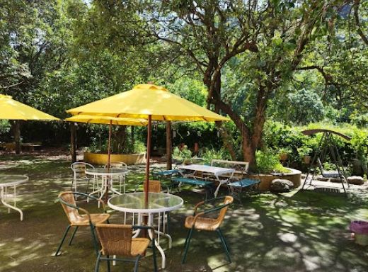 旗山合菜推薦 旗山合菜推薦