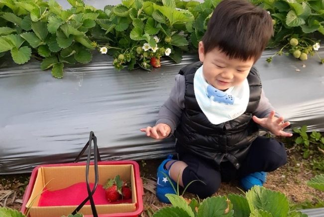 嬰兒親子旅遊台北