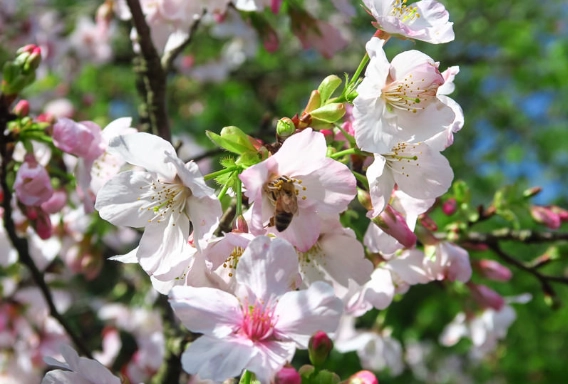 新店家庭旅遊景點