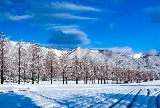 日本關西冬天景點
