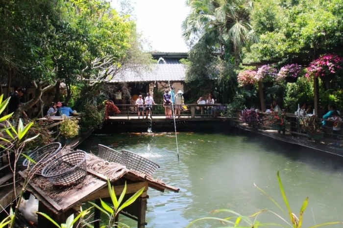 卓蘭一日遊行程 卓蘭一日遊行程