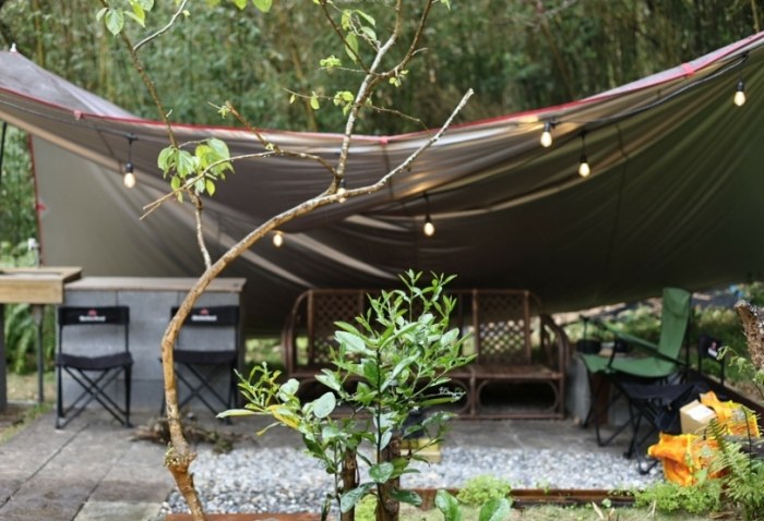 陽明山民宿推薦 陽明山民宿推薦