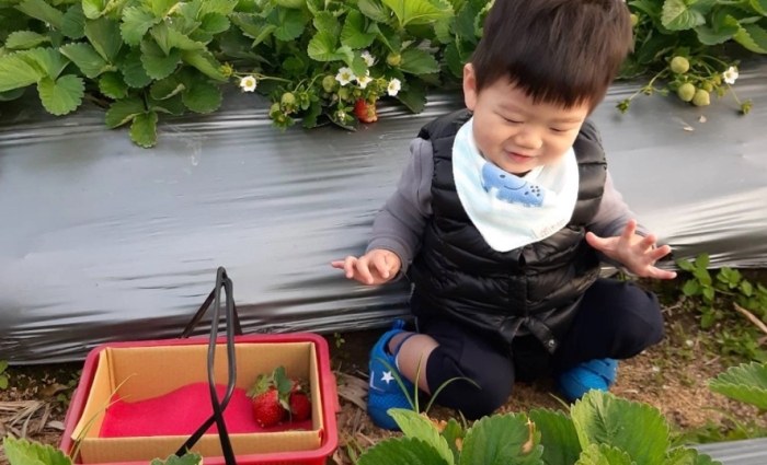 台南親子遊樂場 台南親子遊樂場