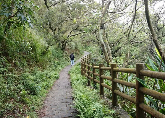 九芎湖步道健行 九芎湖步道健行