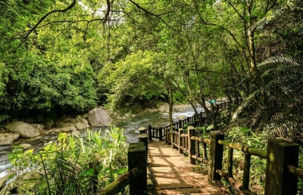 公館步道路線 公館步道路線