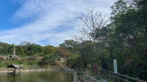 新埔自然步道 新埔自然步道