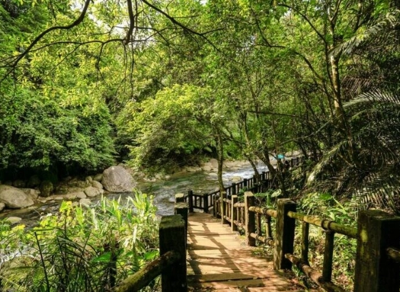 苗栗健行路線 苗栗健行路線