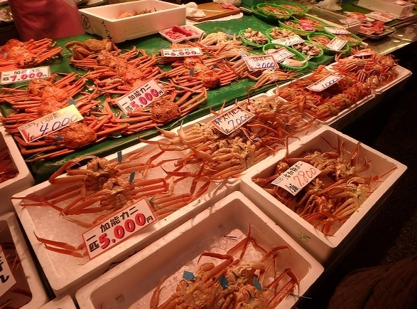 金澤螃蟹購買 金澤螃蟹購買