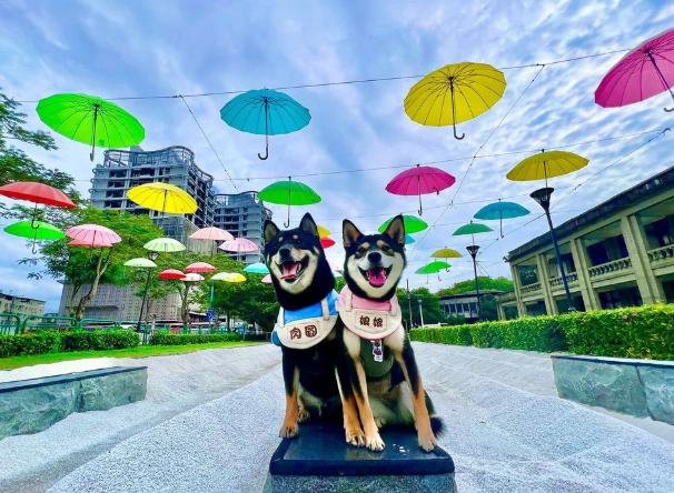板橋一日遊行程 板橋一日遊行程