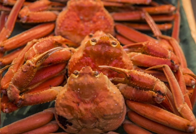 金澤螃蟹購買 金澤螃蟹購買