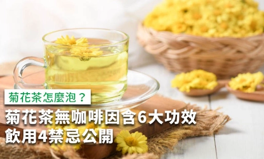 菊花烏龍茶怎麼泡
