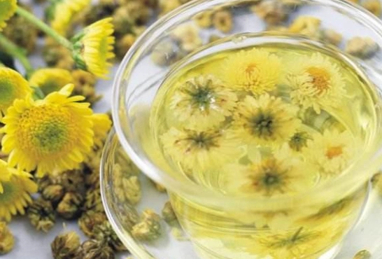 菊花茶菊花食用