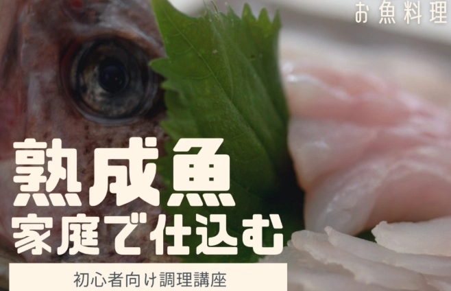 熟成魚處理
