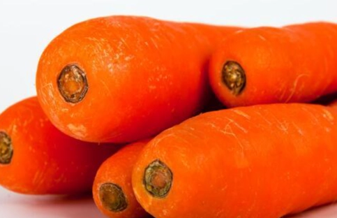 紅蘿蔔食物搭配