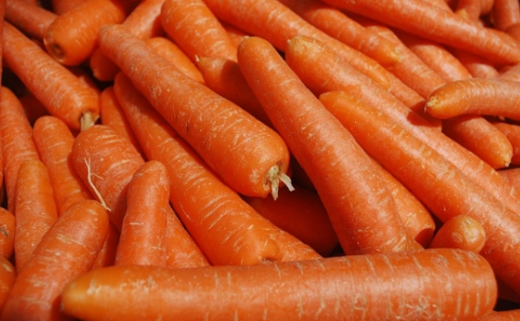 誰不能吃紅蘿蔔