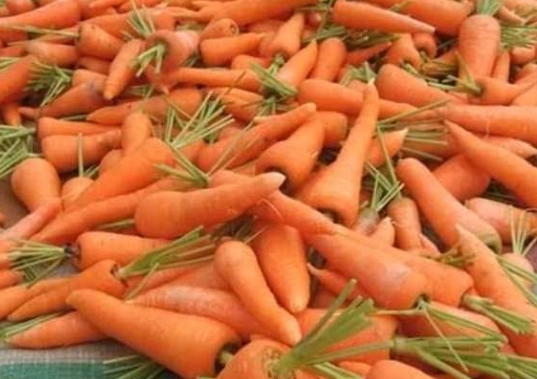 紅蘿蔔禁忌人群