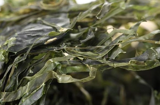 乾海帶處理方法