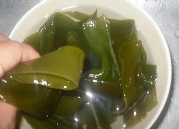 海帶泡發方法