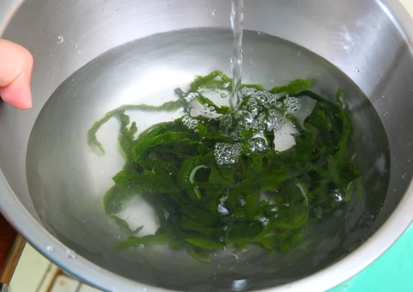 海帶芽處理技巧