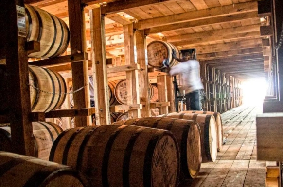 最佳熟成鹽水配方