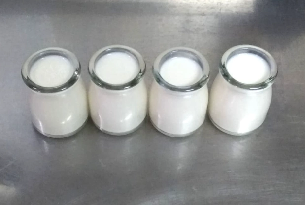 自製奶酪 無鮮奶油