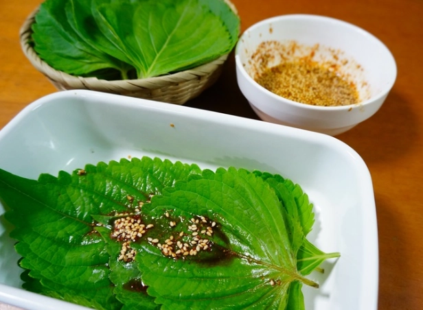 芝麻葉沙拉做法 芝麻葉沙拉做法