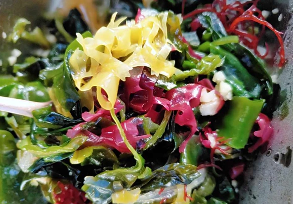 六色海藻料理全攻略：營養食譜與健康益處深度解析