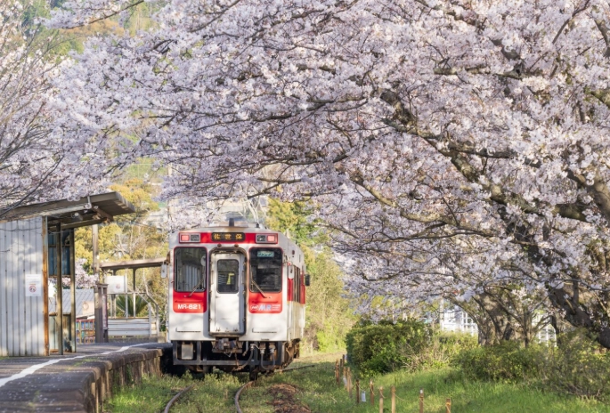 佐賀車站附近景點